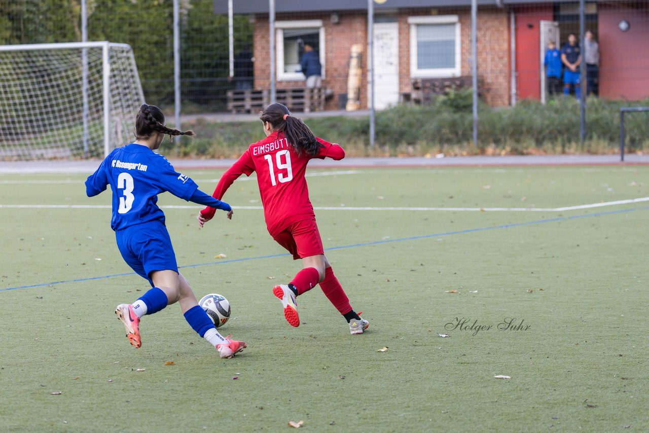 Bild 298 - wCJ Eimsbuettler TV - FC Rosengarten : Ergebnis: 2:0